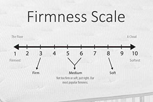 firmness scale