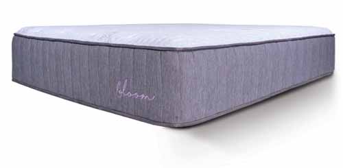 Bloom Mattress