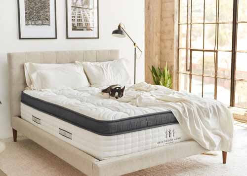 Oceano Mattress