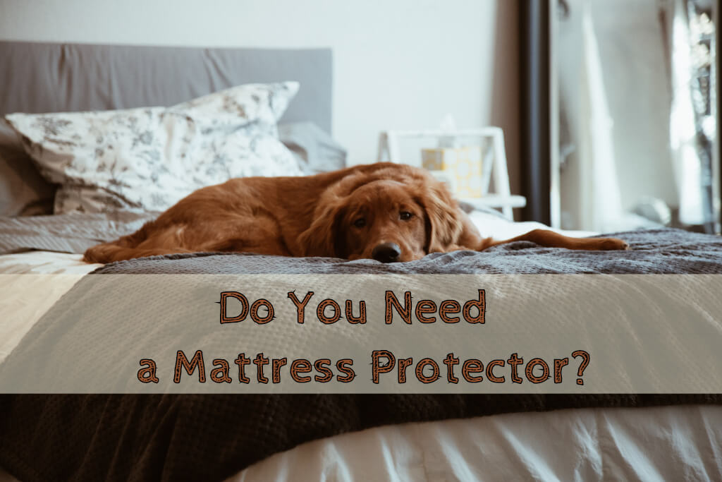 do you need a mattress protector