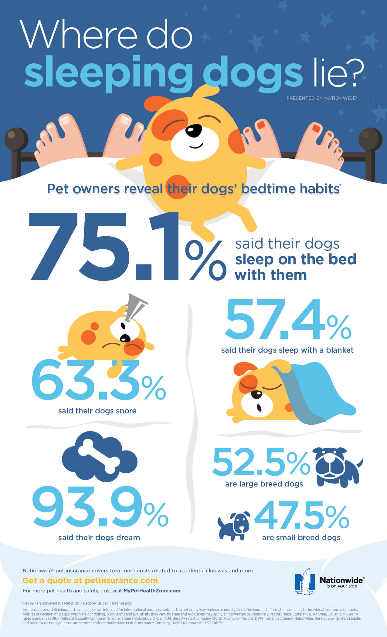 A Comprehensive Guide to Co-Sleeping With Your Dog